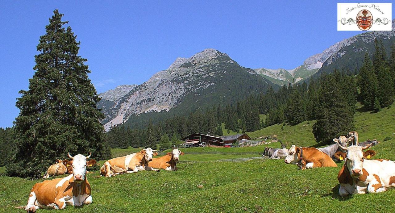 Ferienhaus Erika Seefeld in Tirol Exterior photo